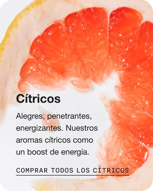 Citrus. Bright, tangy, invigorating.  Our citrus-based scents are like a spritz of sunshine. Shop All Citrus